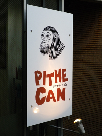 IMGP0454.jpg
