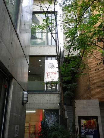 IMGP0458.jpg