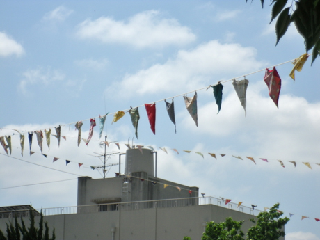 IMGP1030.jpg