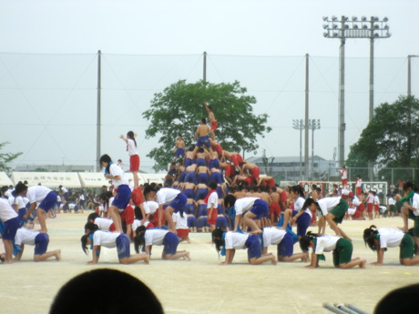 IMGP1906.jpg