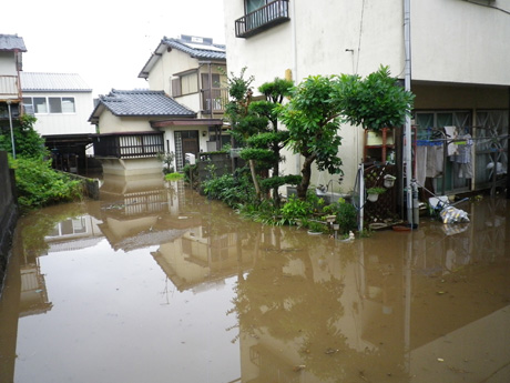 IMGP2145.jpg