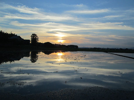 MG_3462.jpg